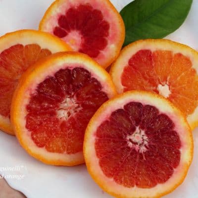 C. sinensis Sanguinelli blood orange2 копия